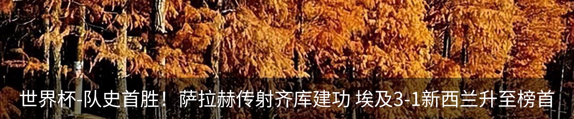 新闻动态