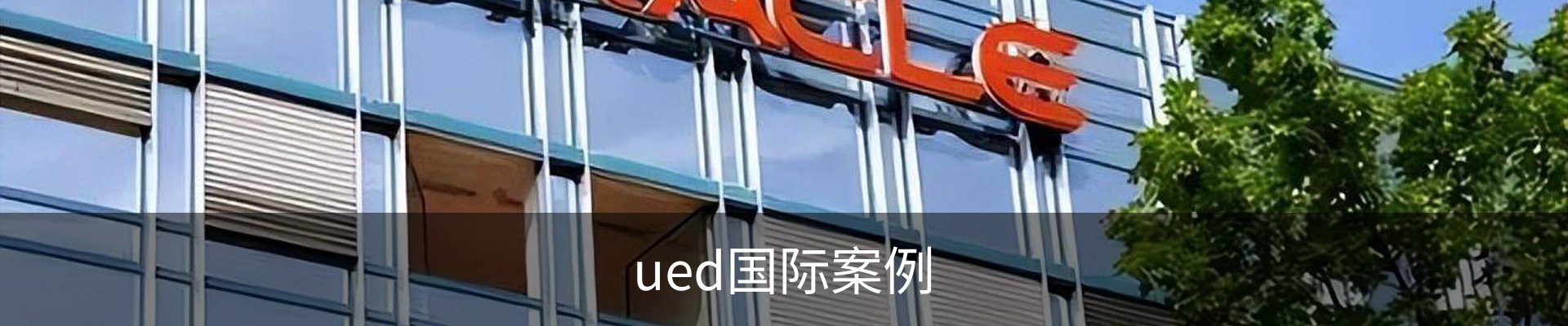 ued国际案例