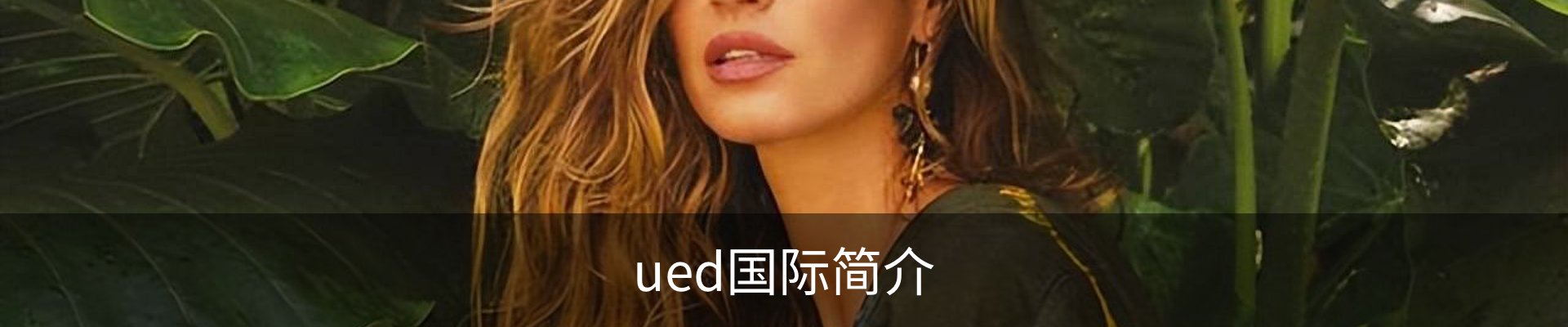 ued国际简介
